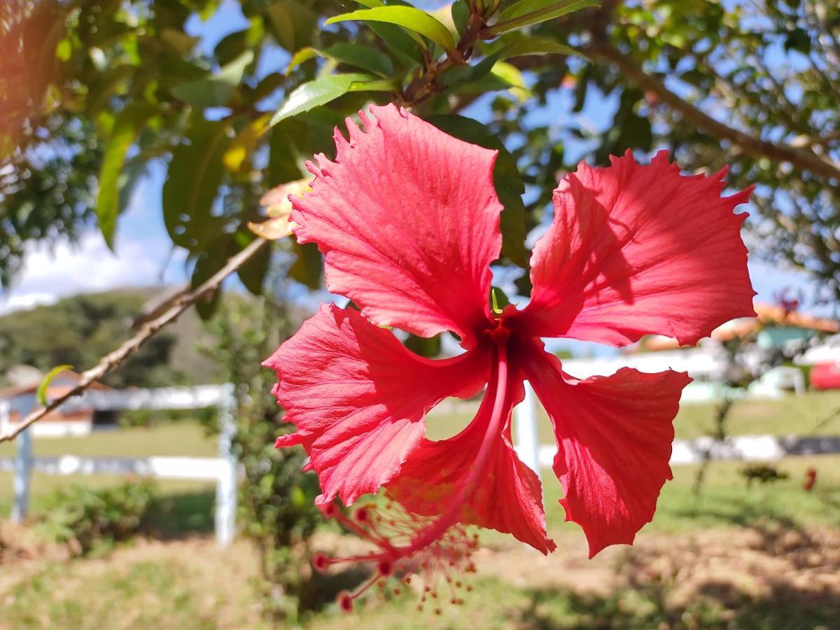 Recanto Jf Da Serra São Tomé das Letras 外观 照片